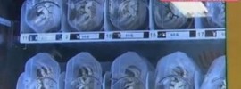 Crabs Vending Machine