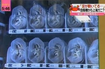 Máquina Expendedora de Cangrejos 